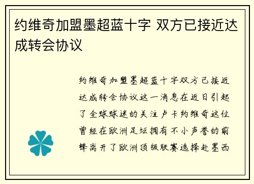 约维奇加盟墨超蓝十字 双方已接近达成转会协议